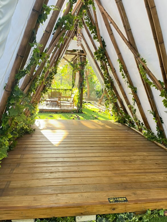 A336516cfbe4ea3abe7c3b80d568fb8e